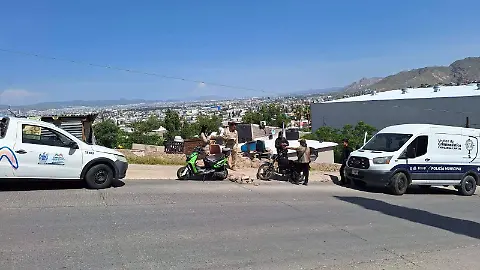 Detienen a “Lord Chihuahuas”; Rescatan a Tres Perritos Usados en Espectáculo Callejero