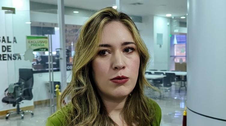 Sin rastro del mural de $1.2 millones desaparecido en Parral: Alma Portillo exige respuestas