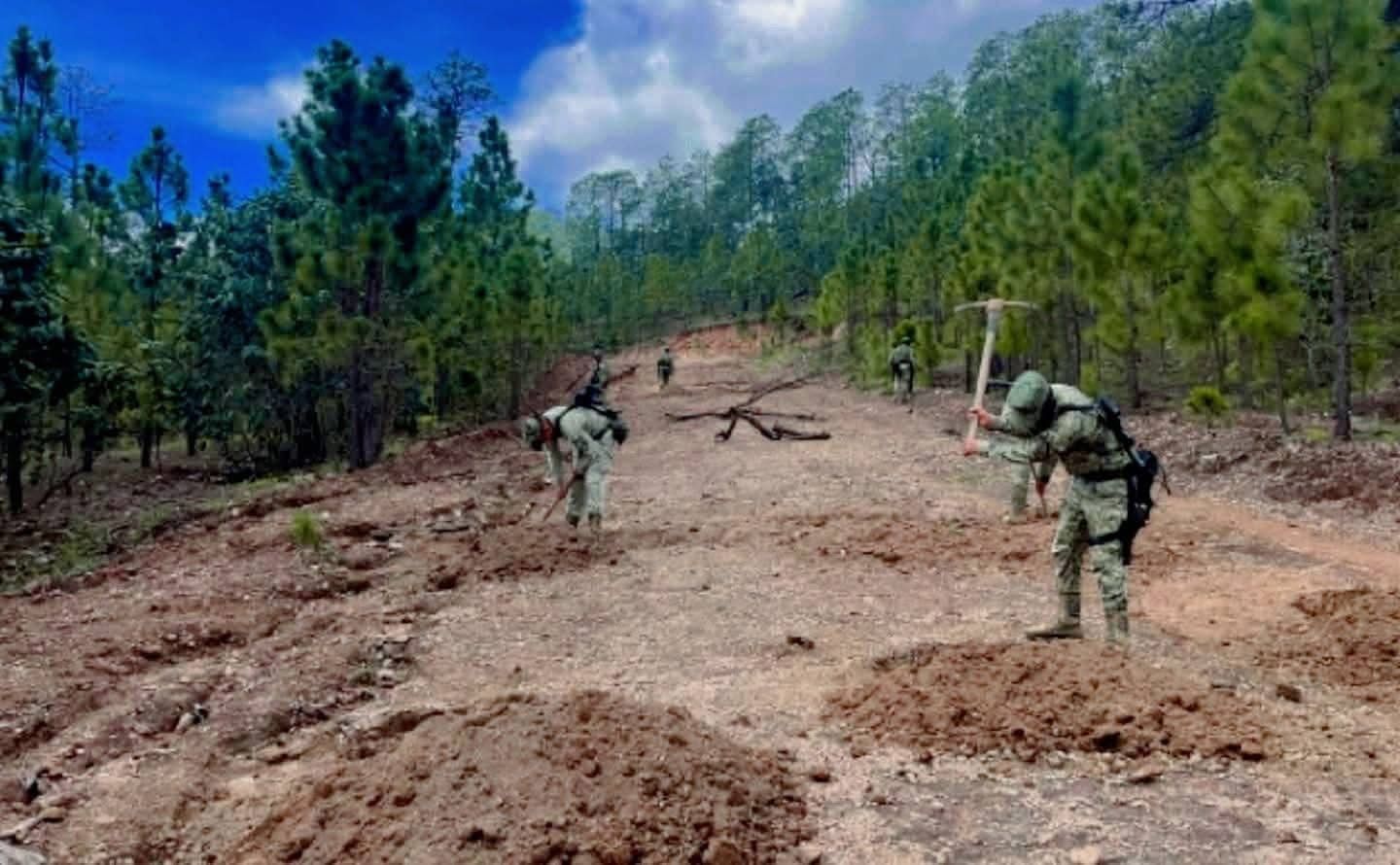 Ejército, GN y Marina desmantelan pista clandestina en la sierra de Chihuahua y Sinaloa