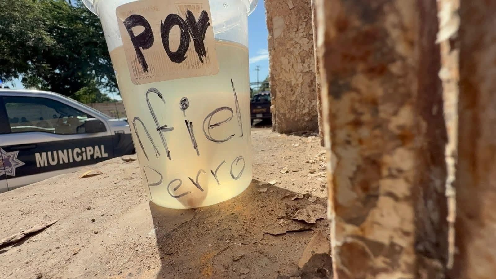 Encuentran pene cercenado con mensaje en Aguaruto, Sinaloa
