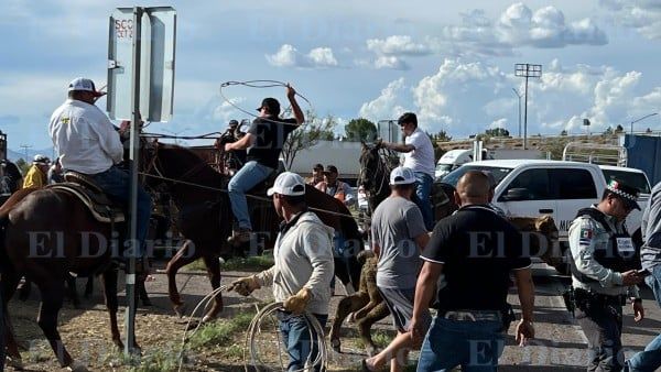 Tragedia en la federal 45 | Vuelca tráiler con 94 reses; mueren 30 reses