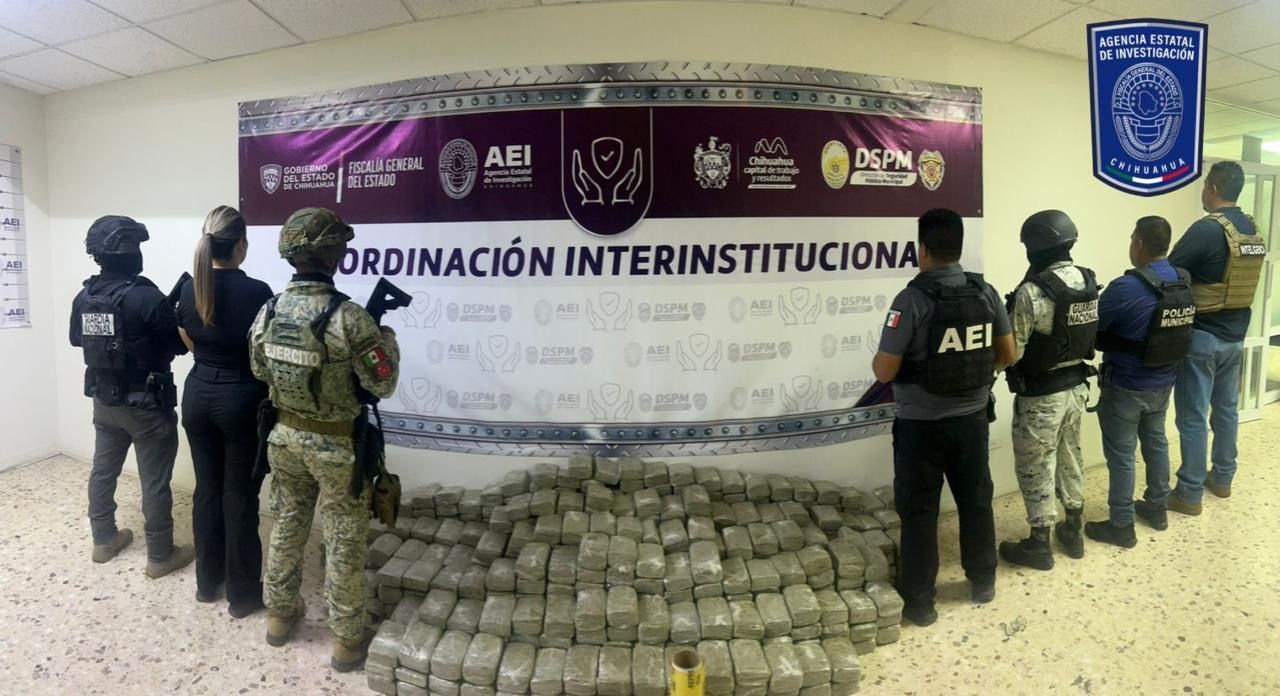 Asegura Fiscalía en operativo conjunto cerca de 300 kilos de marihuana en un domicilio de Chihuahua*