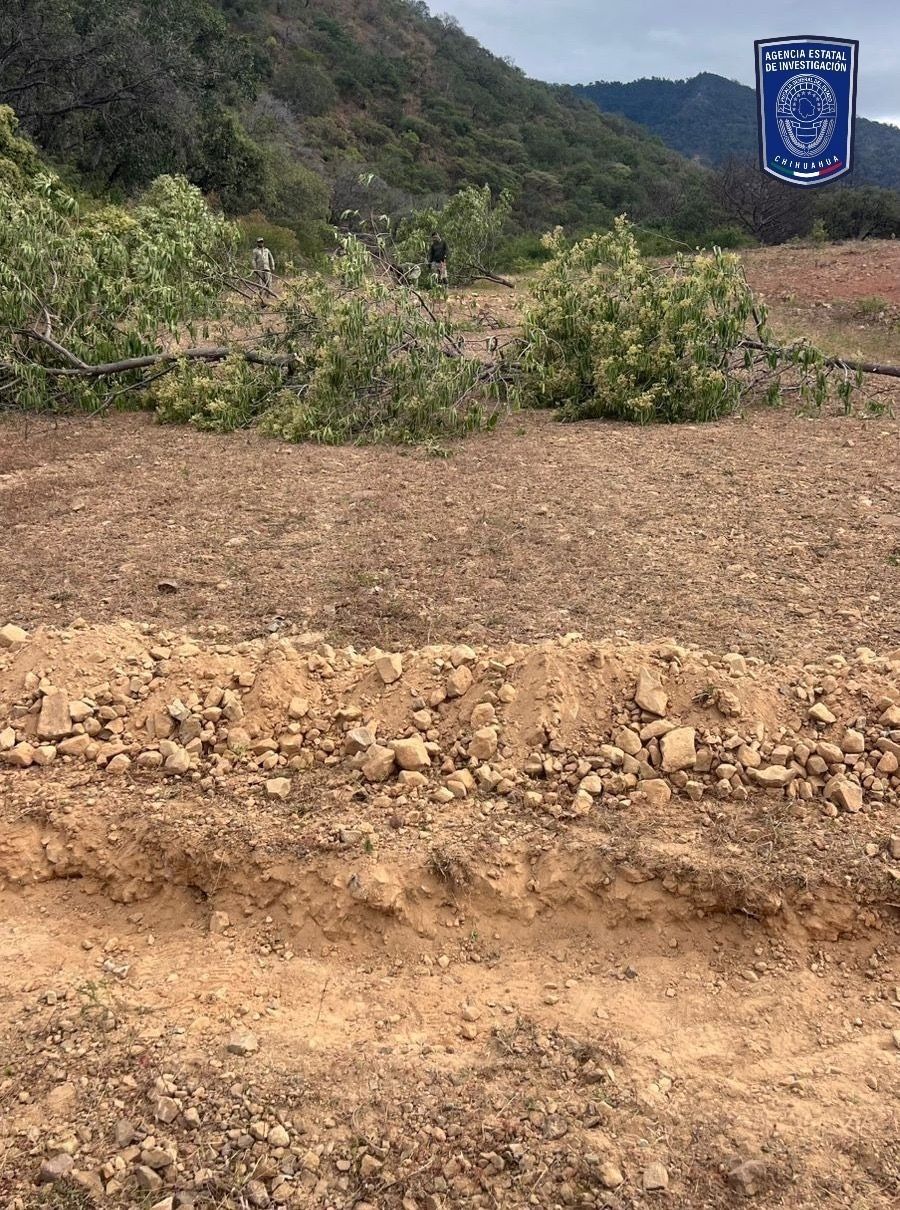 Destruyen AEI y Ejército pista de aterrizaje clandestina en Moris