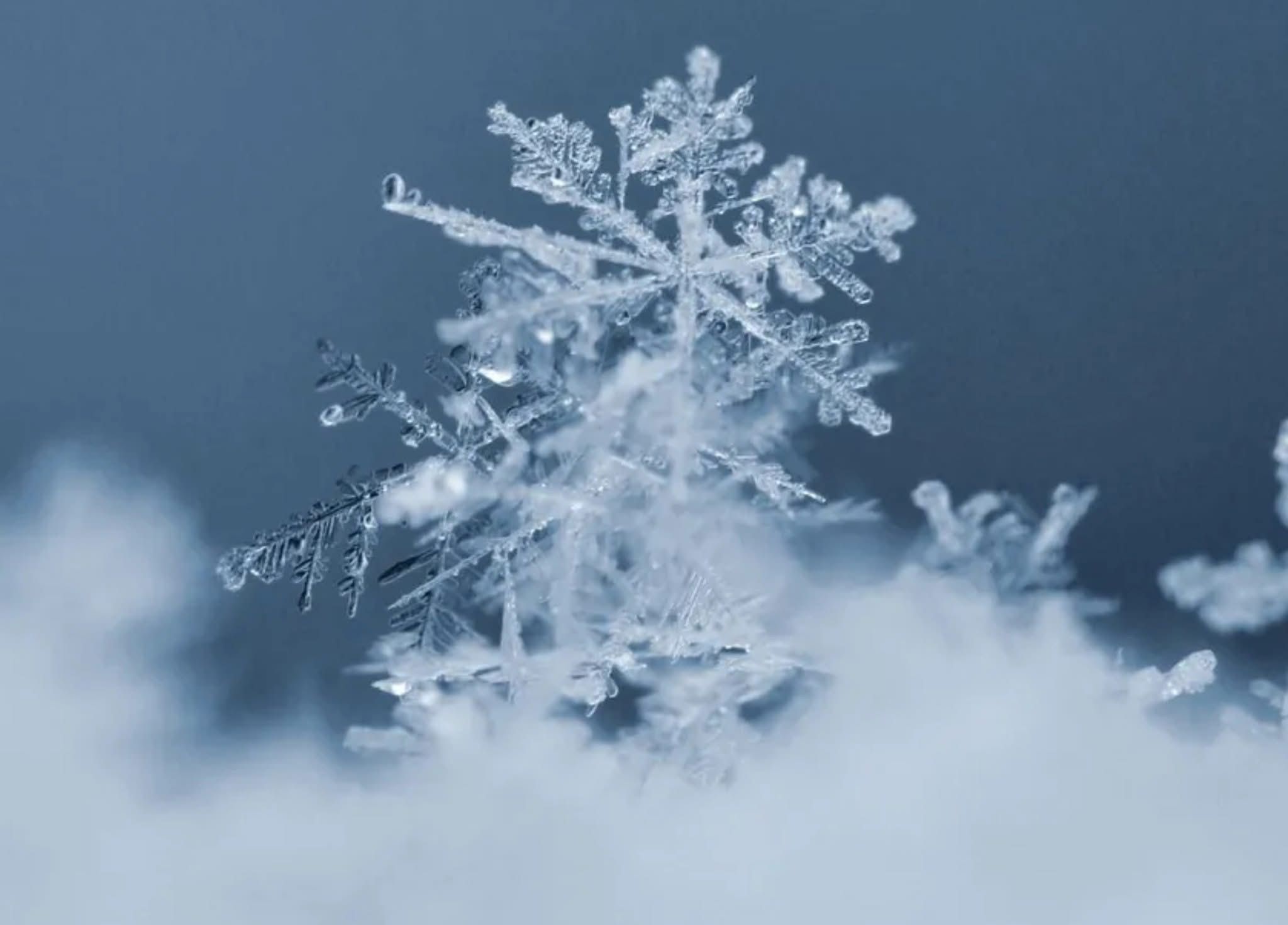 ¿Invierno adelantado? Prevén caída de nieve o aguanieve para finales de noviembre o principios de diciembre
