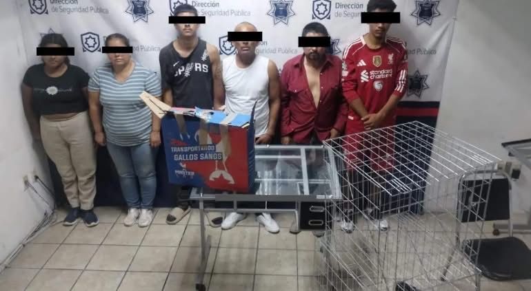 Familia de Torreón tenía palenque clandestino… ¡dentro de su casa!