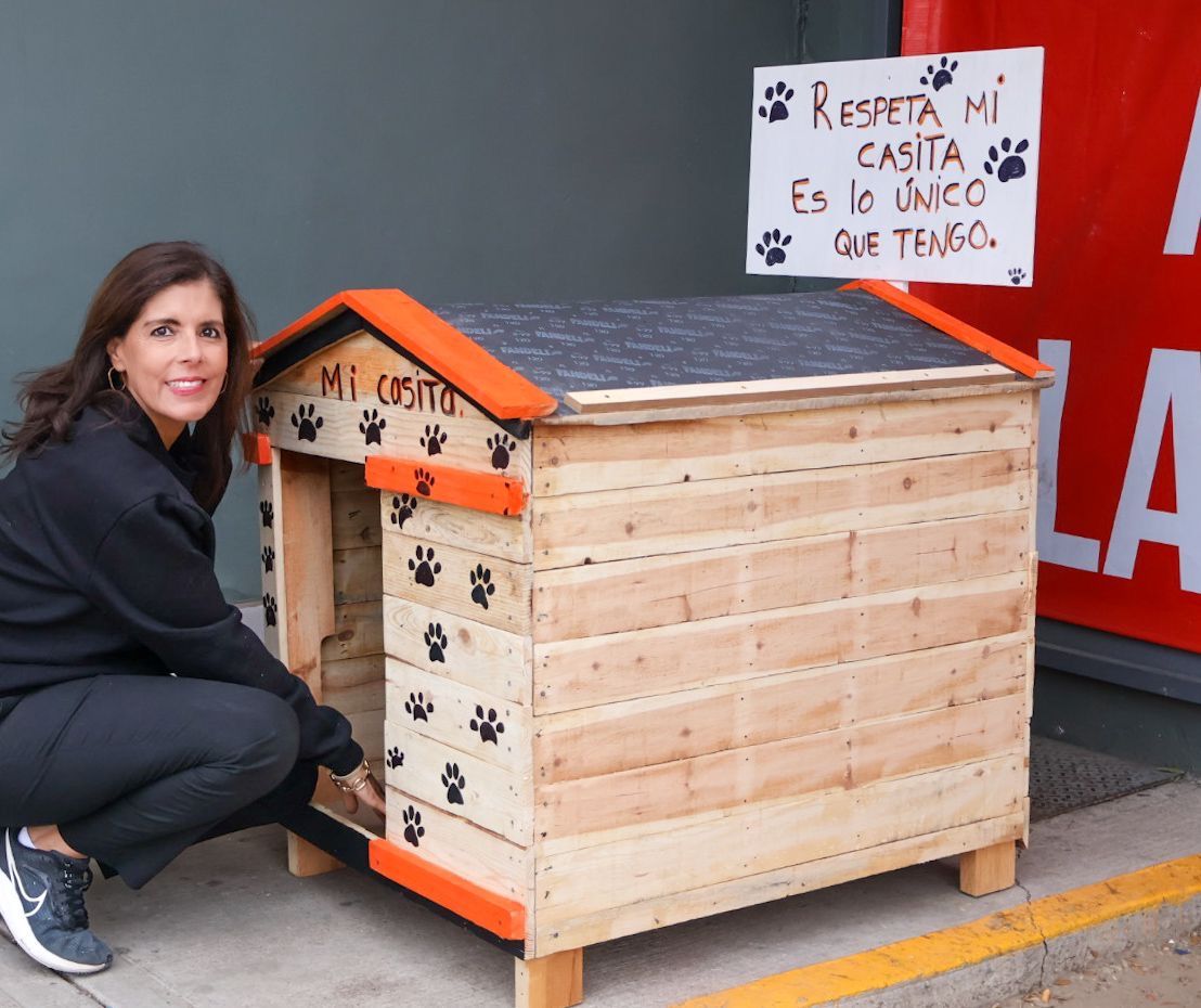 Impulsan instalación de casitas para proteger a perritos en situación de calle en Parral