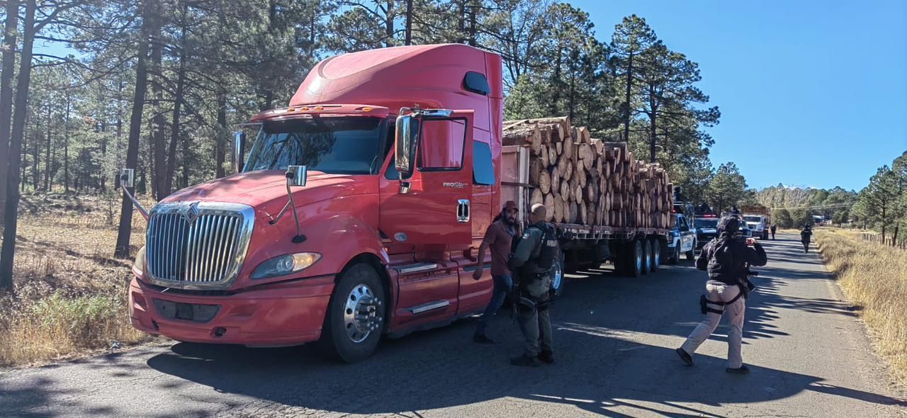 Caen con 158 trozos de madera ilegal en Guachochi; SSPE asegura tractocamión