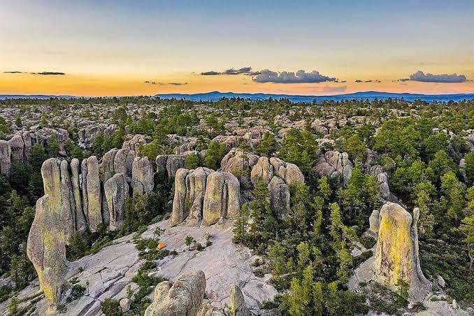 Ni el sol se animó: El Vergel baja a -2.7 grados