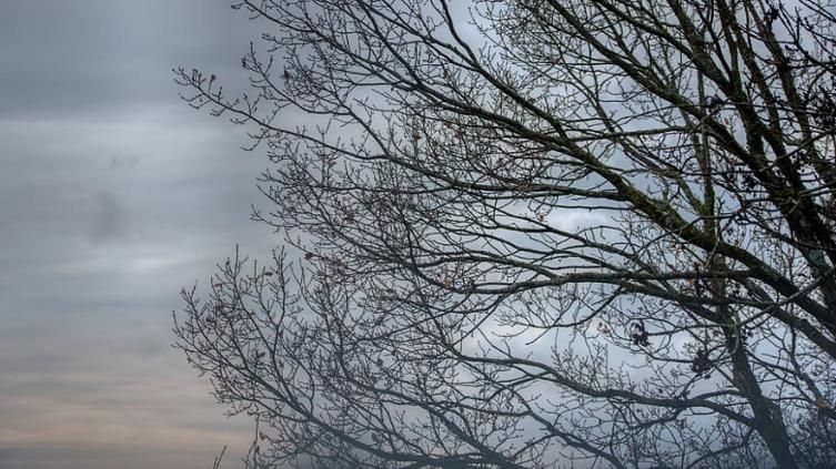 Temperaturas descenderán considerablemente en el centro-sur de Chihuahua a partir del viernes