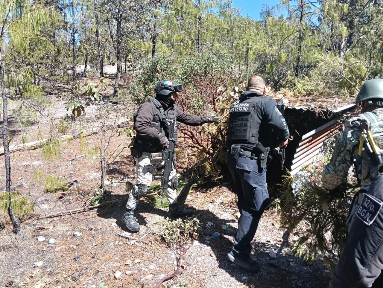 Inhabilita SSPE campamento presuntamente utilizado por grupo criminal en Guadalupe y Calvo