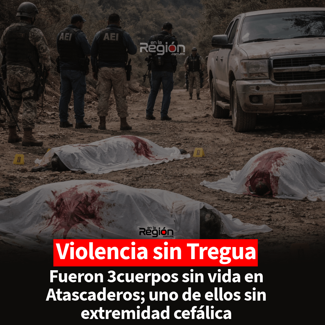 Violento hallazgo en Guadalupe y Calvo: encuentran tres personas sin vida