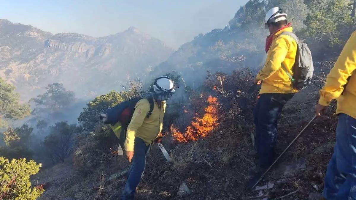 Incendio forestal activo en Basaseachi; brigadistas combaten el fuego