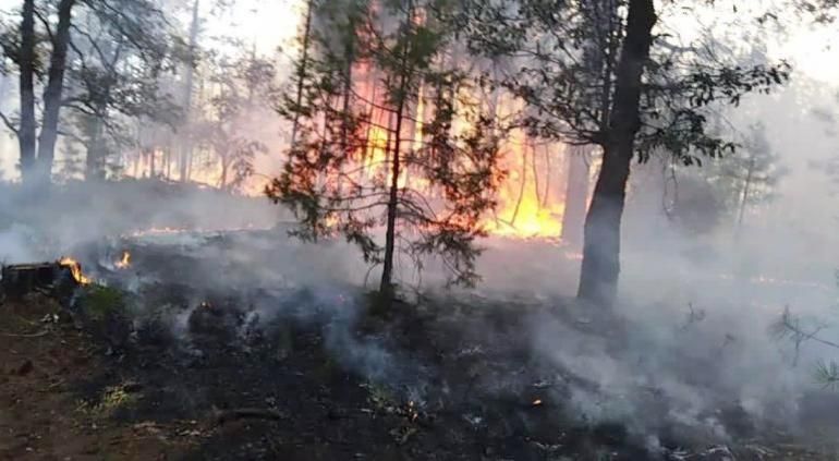 Combaten seis incendios forestales en Chihuahua; tres ya están controlados