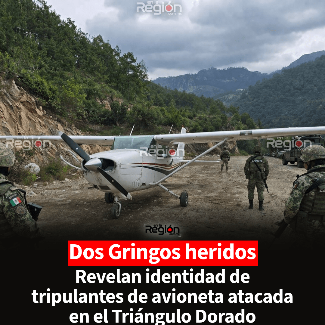 Identifican a tripulantes de avioneta atacada en la sierra de Guadalupe y Calvo