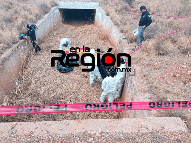 Confirman identidad de hombre y mujer localizados ejecutados en la vía Parral-Jiménez