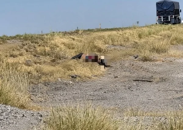 **Hallan a mujer sin vida a un costado de carretera en Jiménez**