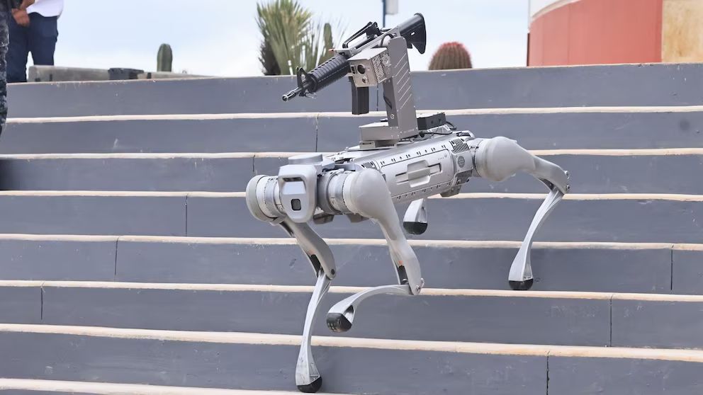 Zacatecas usa perros robots para seguridad