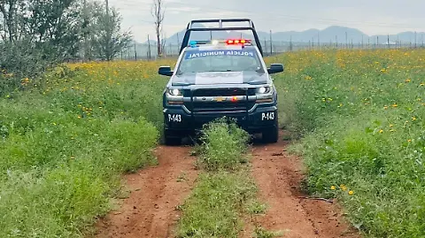 Investigan desaparición de niña de 11 años en huerta manzanera de Cuauhtémoc