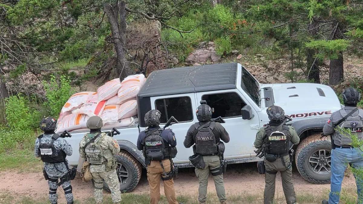 Hallan arsenal de explosivos y droga en tres vehículos abandonados en Maguarichi