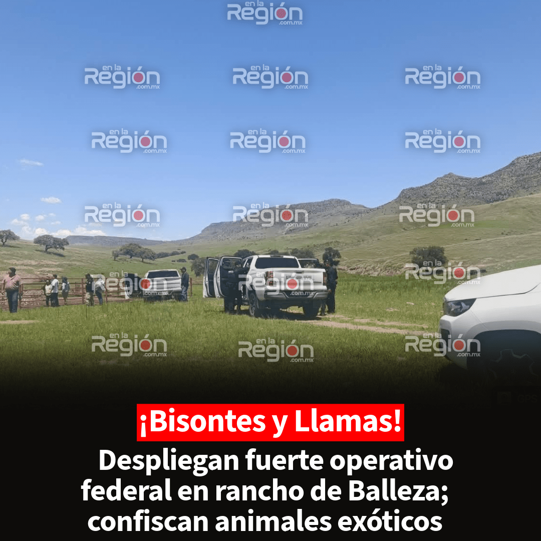 Operativo federal asegura rancho ligado a César Duarte en Balleza