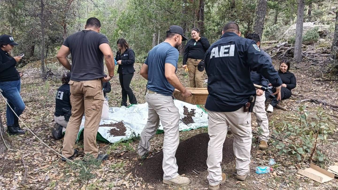 Hallan restos óseos y municiones en zona rural de Balleza